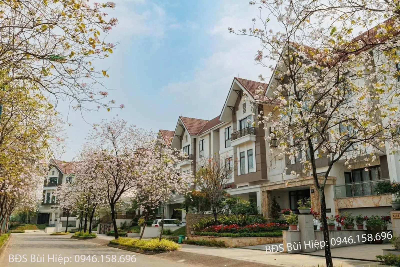 Biệt Thự Đảo Ciputra