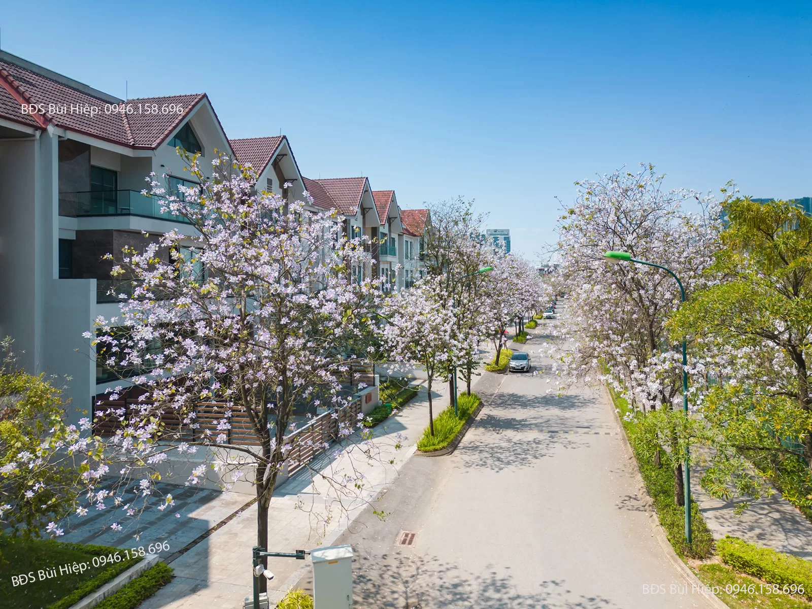 Biệt Thự Đảo Ciputra