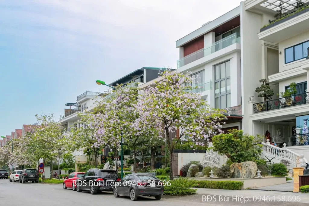 Biệt Thự Đảo Ciputra