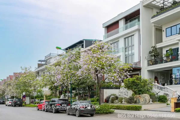 Biệt Thự Đảo Ciputra