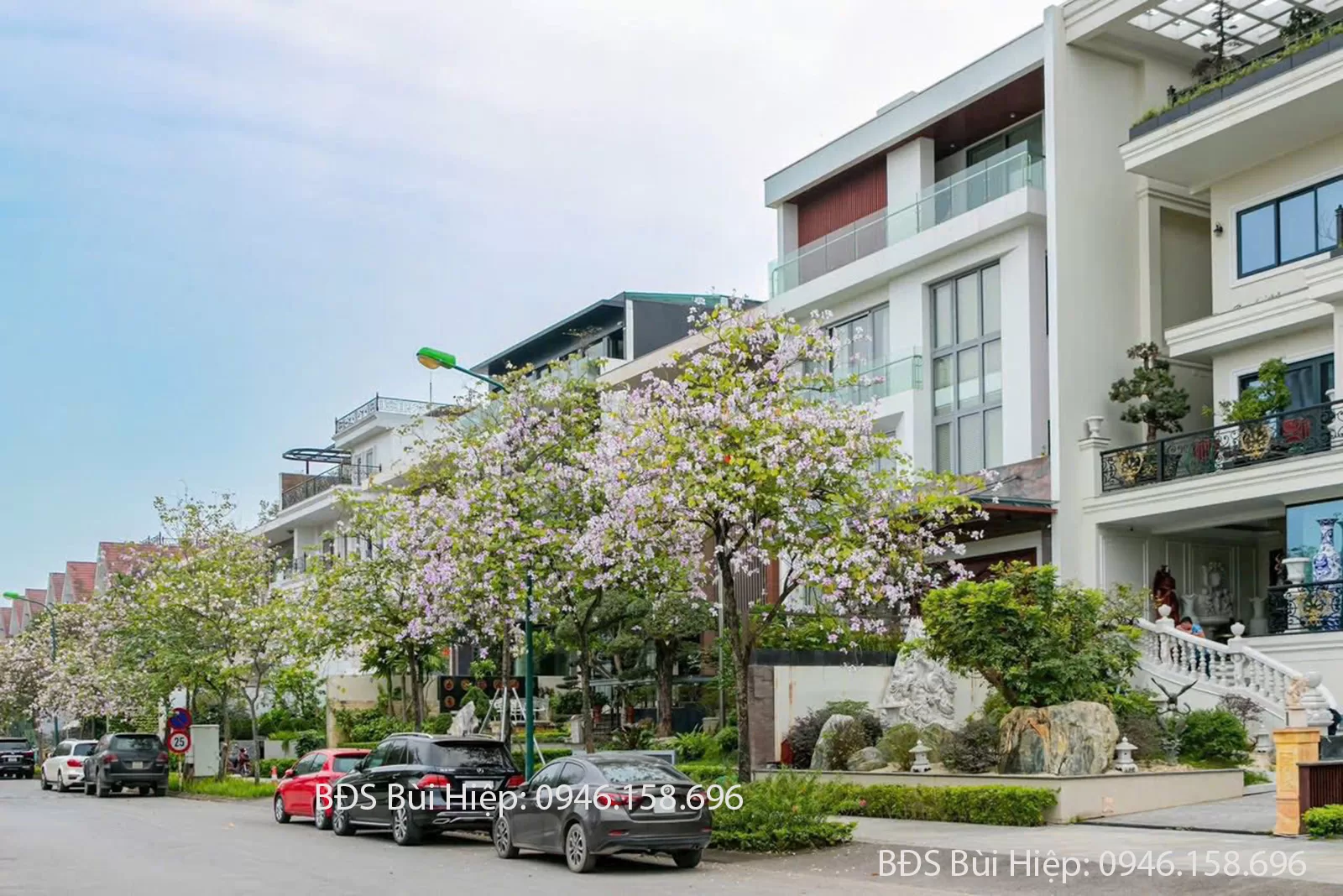 Biệt Thự Đảo Ciputra