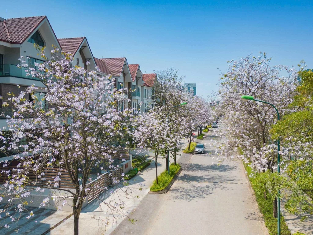 Biệt thự liền kề đảo Ciputra giá bao nhiêu? Thông tin trực tiếp từ Chủ đầu tư