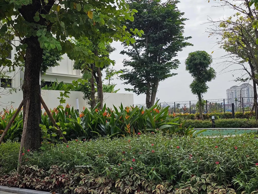 Biệt Thự Liền Kề Eden Residence