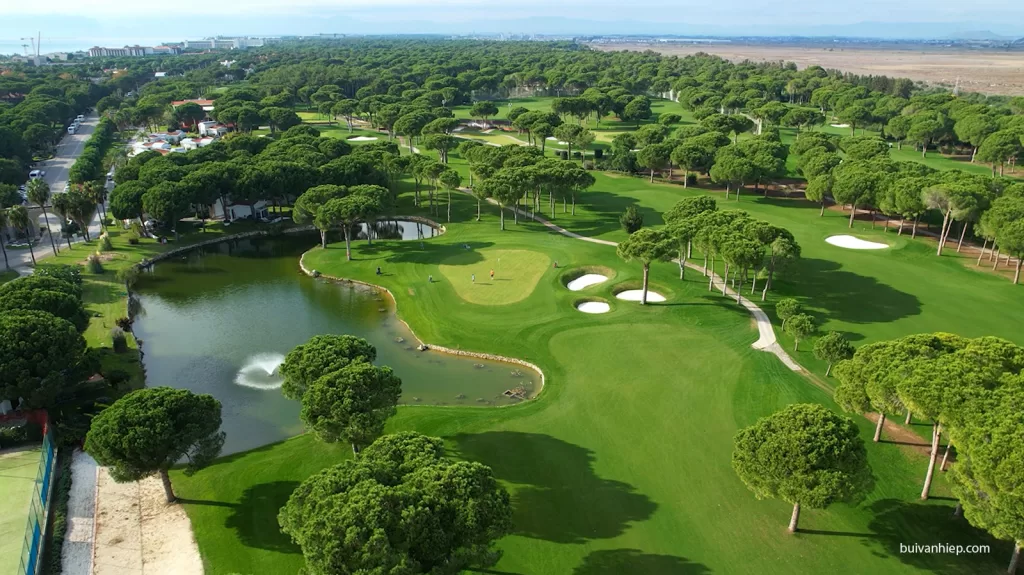 Chung cư Q2 Ciputra