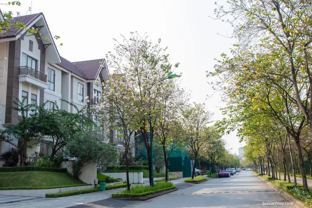 Biệt Thự Q1 Ciputra