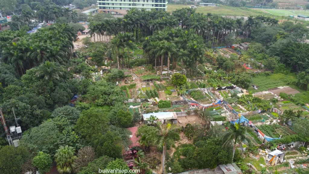 Dự Án Chung Cư Đường Nguyễn Đình Tứ