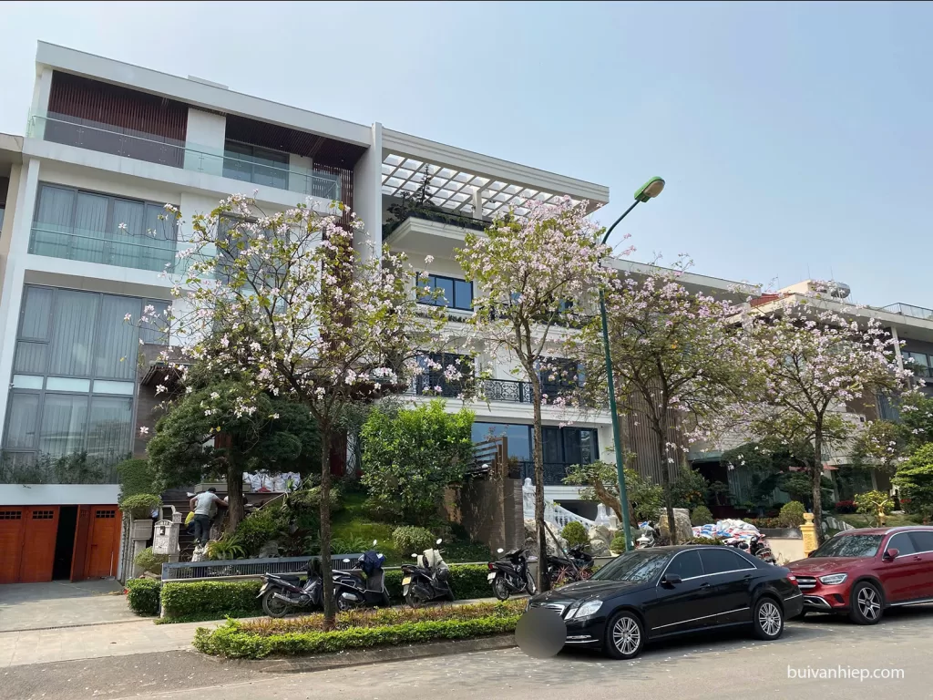 Biệt Thự Q1 Ciputra