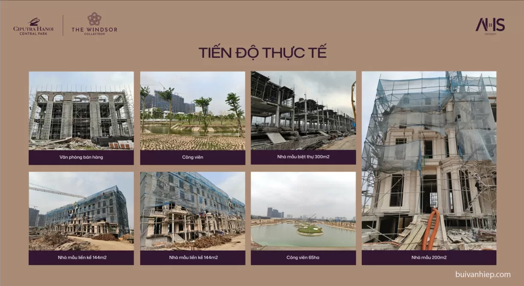 The Windsor Collection Ciputra