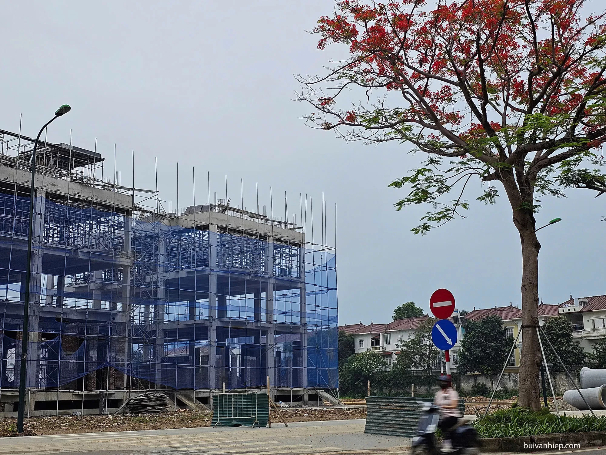 Biệt Thự Đơn Lập Ciputra